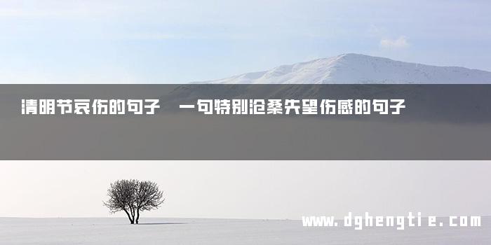 清明节哀伤的句子 一句特别沧桑失望伤感的句子